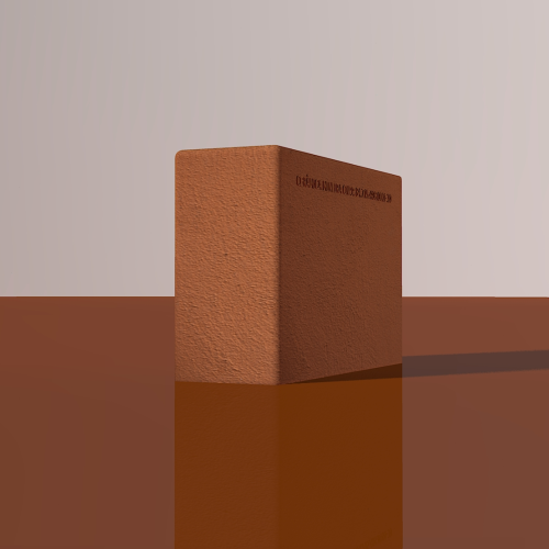 Tijolo Maciço Especial 6x12x19